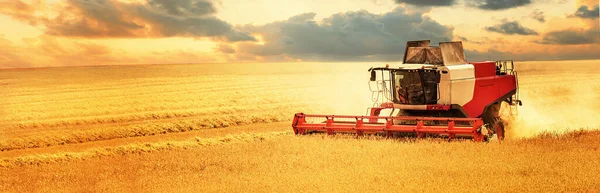 depositphotos_395025698-stock-photo-combine-harvester-working-golden-cereal